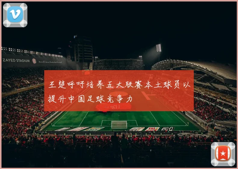 王楚呼吁培养五大联赛本土球员以提升中国足球竞争力