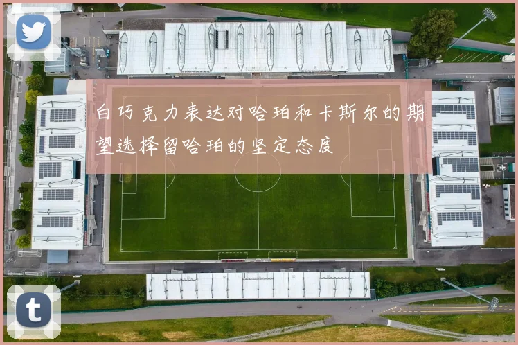 白巧克力表达对哈珀和卡斯尔的期望选择留哈珀的坚定态度