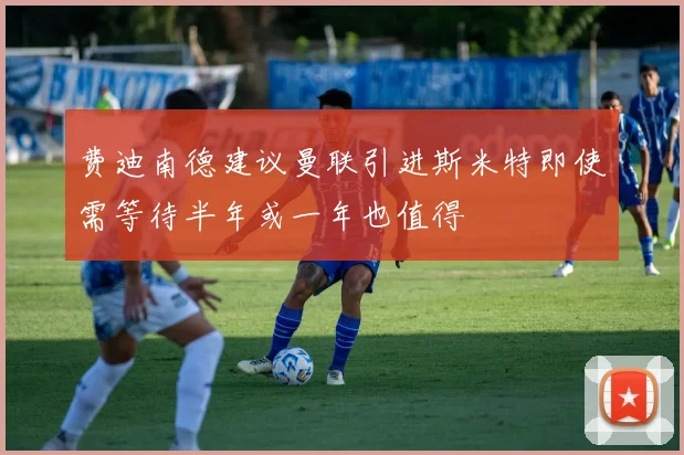 费迪南德建议曼联引进斯米特即使需等待半年或一年也值得